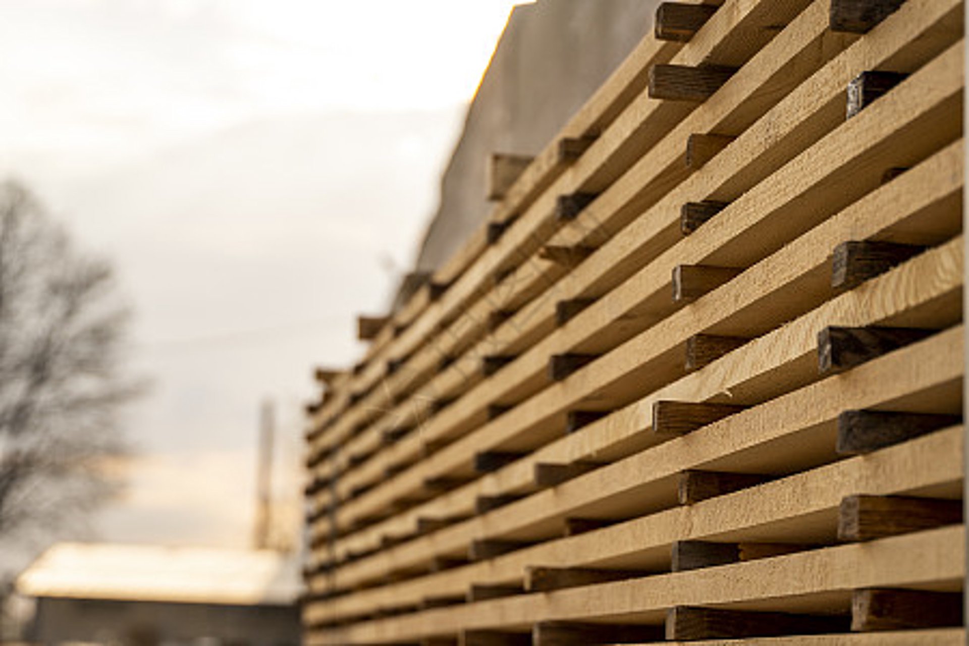 须护授木业